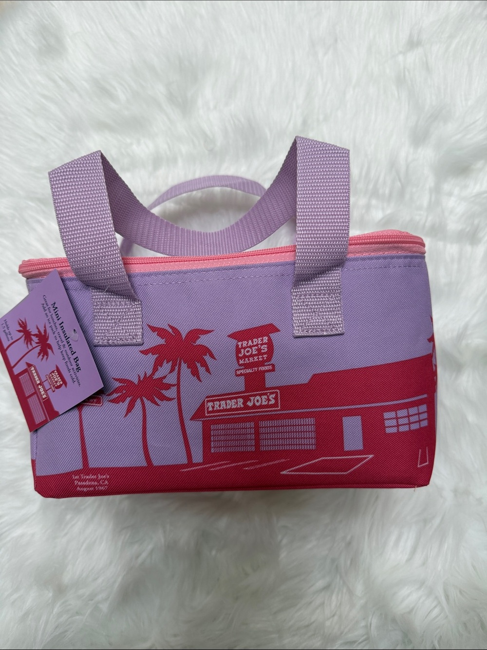 NWT Trader Joeโs Mini Insulated Cooler/Bag